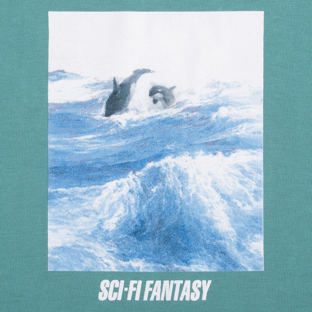 Sci-Fi Fantasy Killer Whale T Shirt - Seafoam
