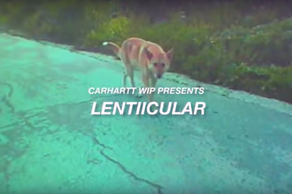 Carhartt WIP - LENTIICULAR