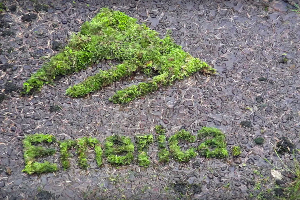Land - A film by Grey, Emerica and Heroin Skateboards