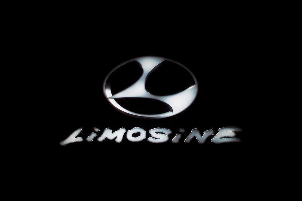 Limosine - $100 Dollar Cover