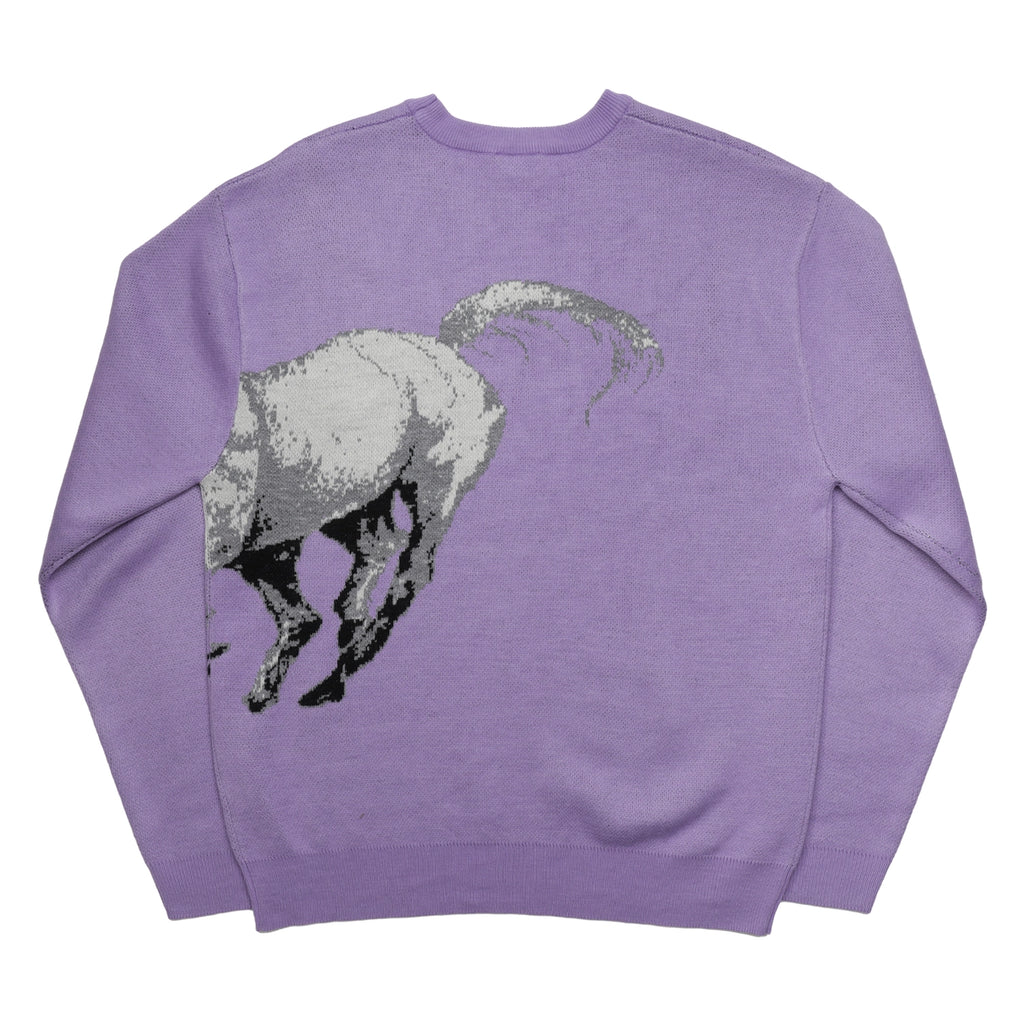 PASS~PORT Brumbies Sweater - Lavender