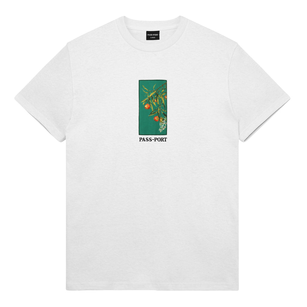 PASS~PORT Quandong T Shirt - White - main