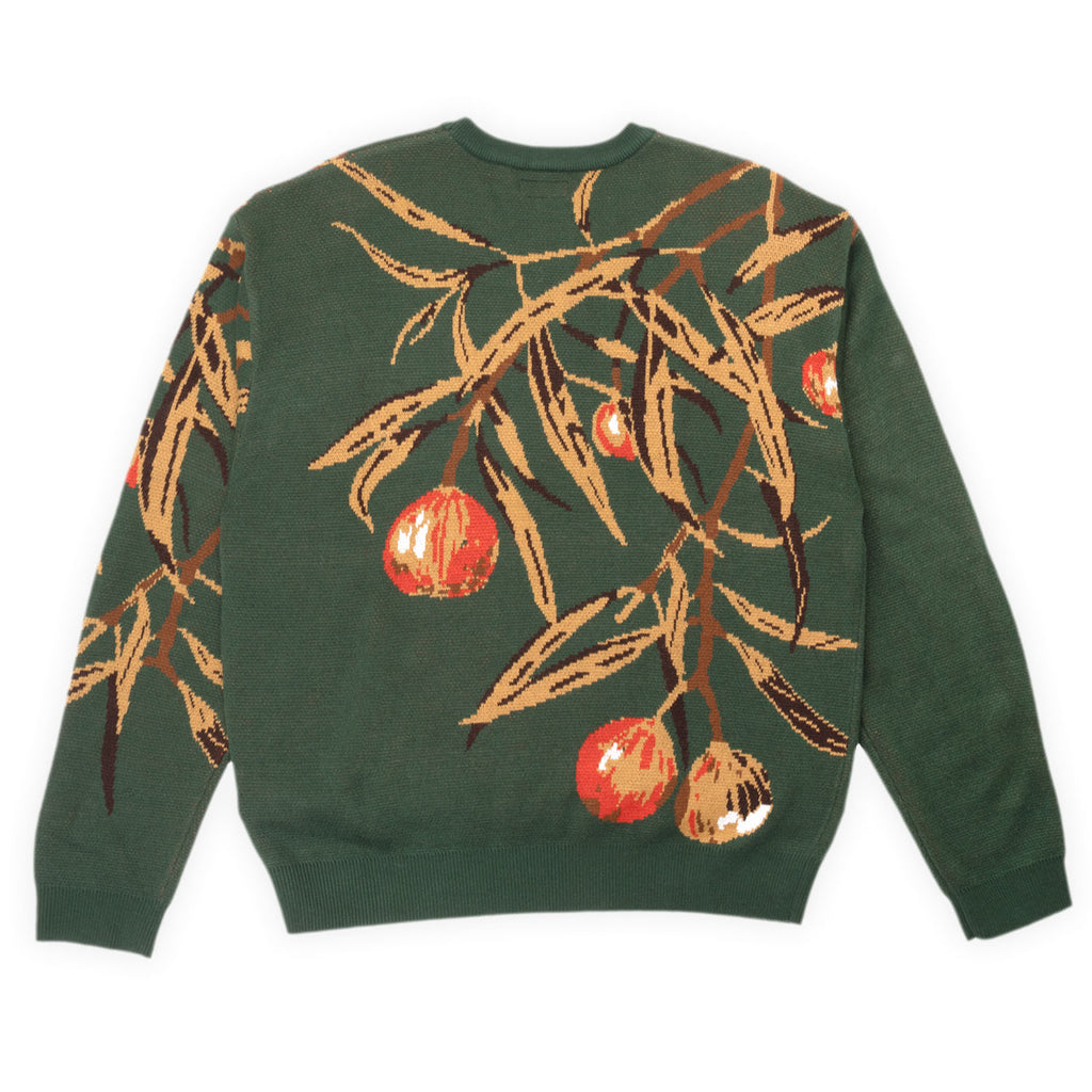 PASS~PORT Quandong Knit Sweater - Forest Green - back