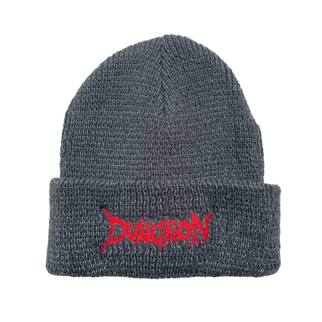 Dungeon Scrawl Logo Beanie - Reflective =main