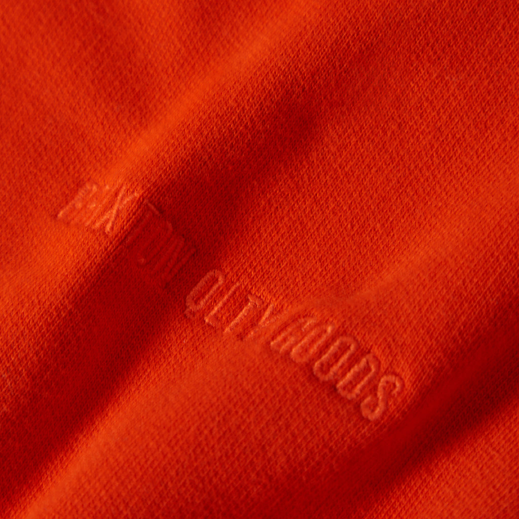 Brixton Embroidered Heavy Weight  Hoodie Trail Orange - Chest embroidery