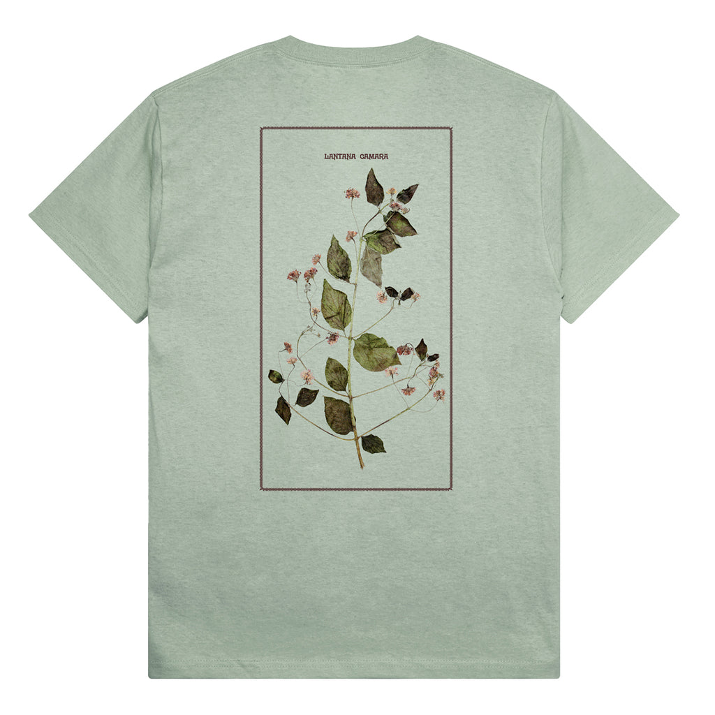 PASS~PORT Lantana T Shirt - Stonewash Green
