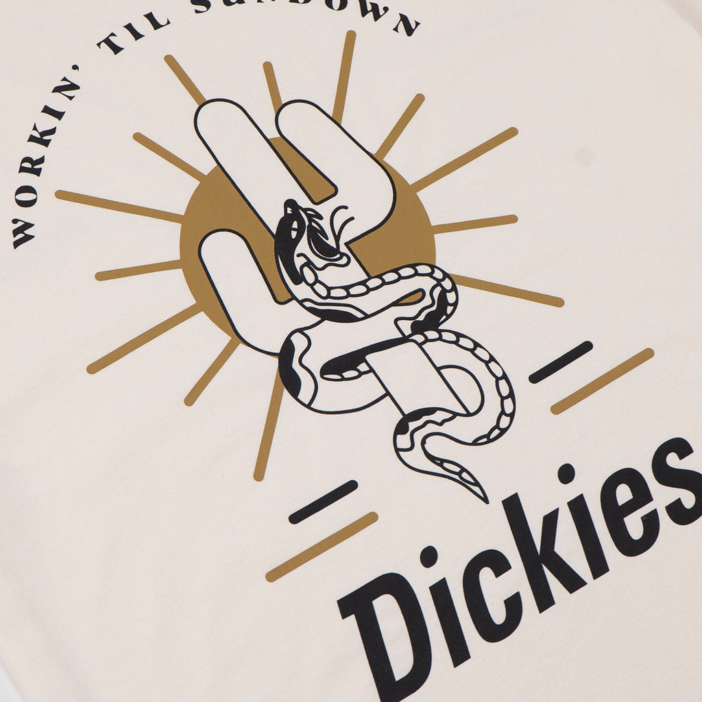 Dickies Bettles T Shirt in Ecru - Back Print