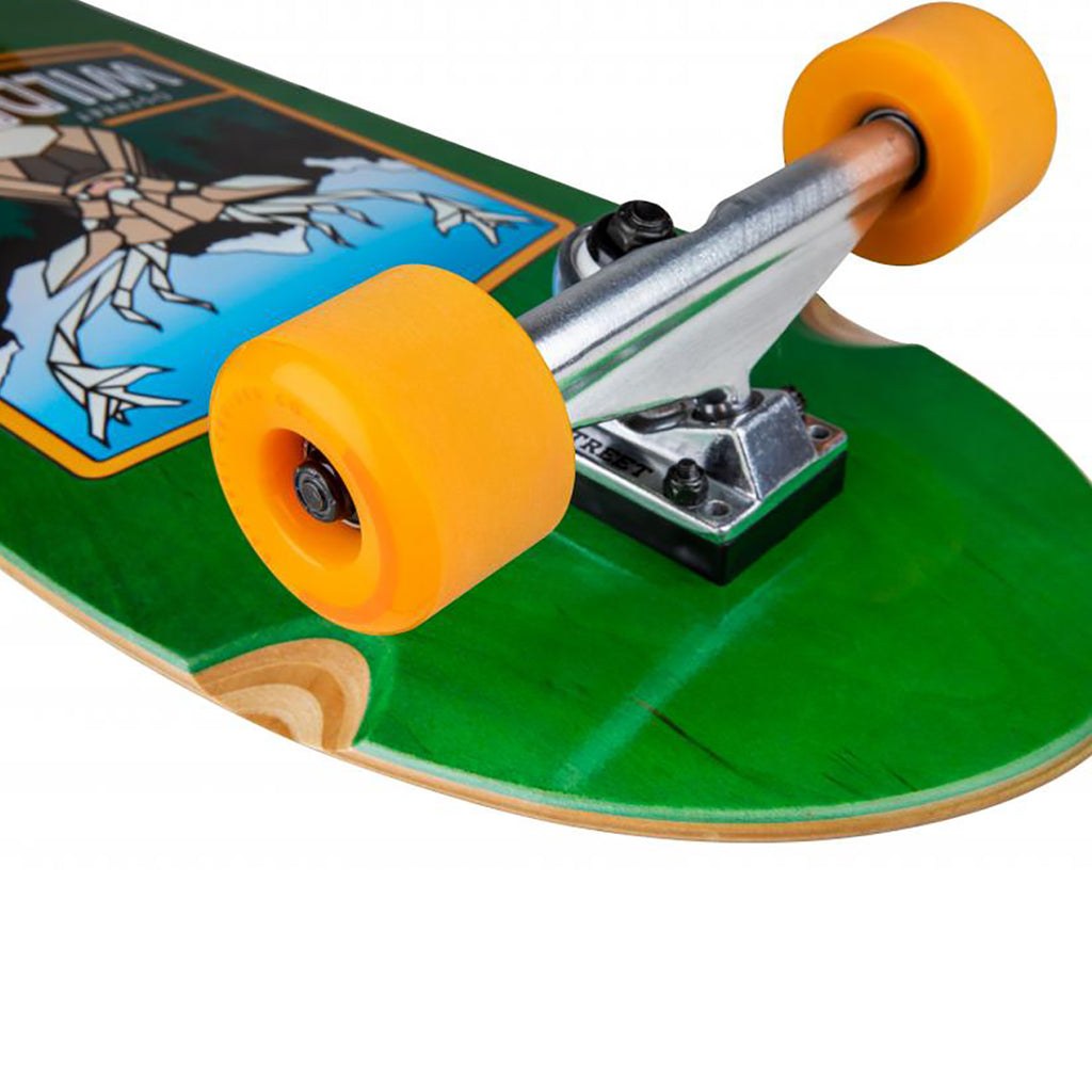 D Street Wilderness Cruiser Complete Skateboard in 10" - Detail