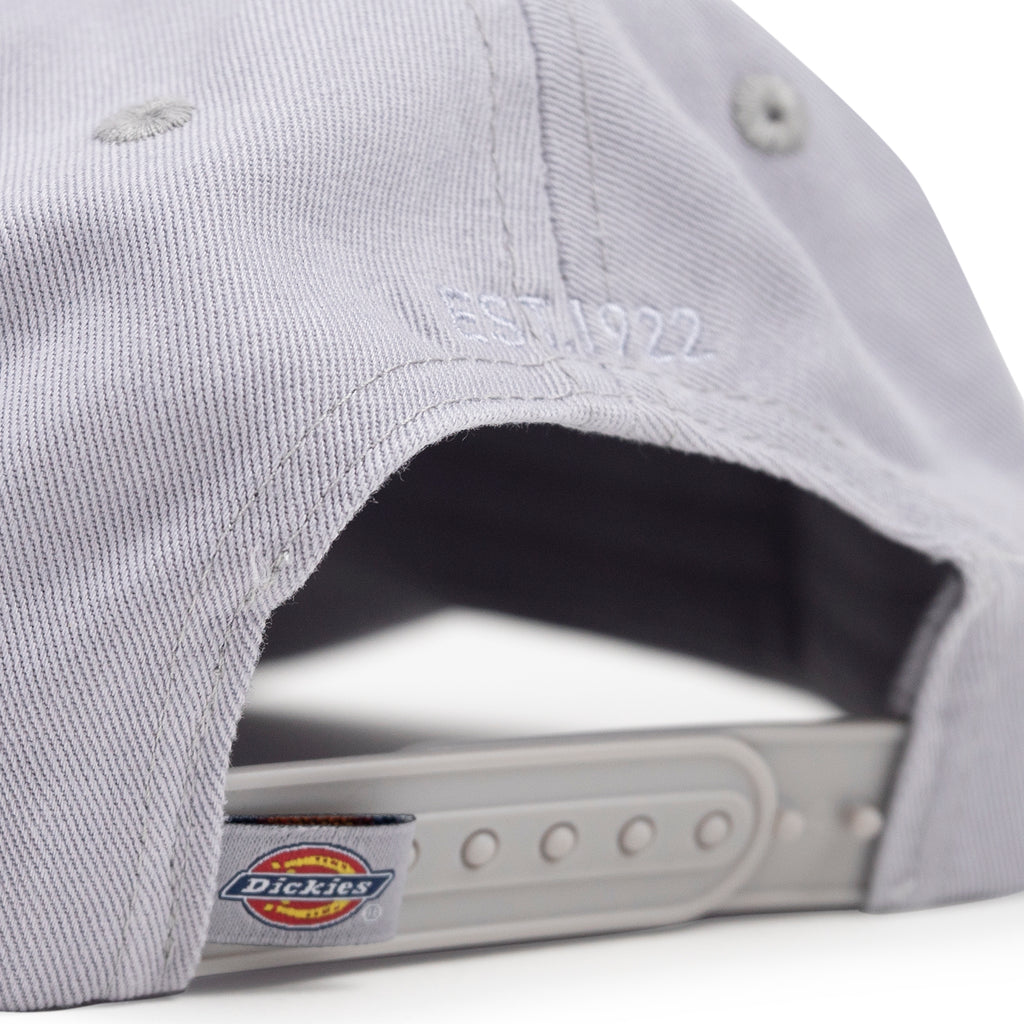 Dickies Hardwick Cap in Lilac Gray - Strap