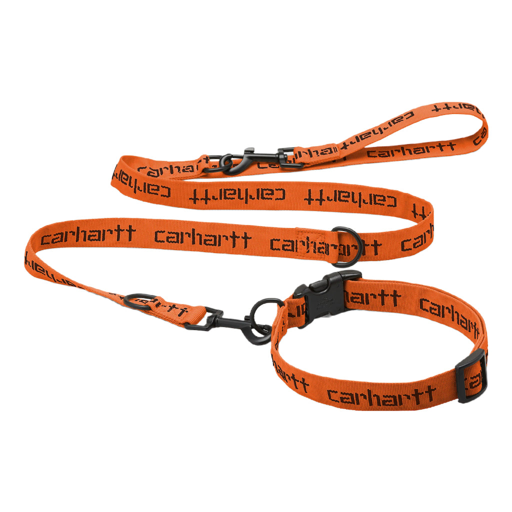 Script Dog Collar in Carhartt Orange / Black by Carhartt WIP Bored of