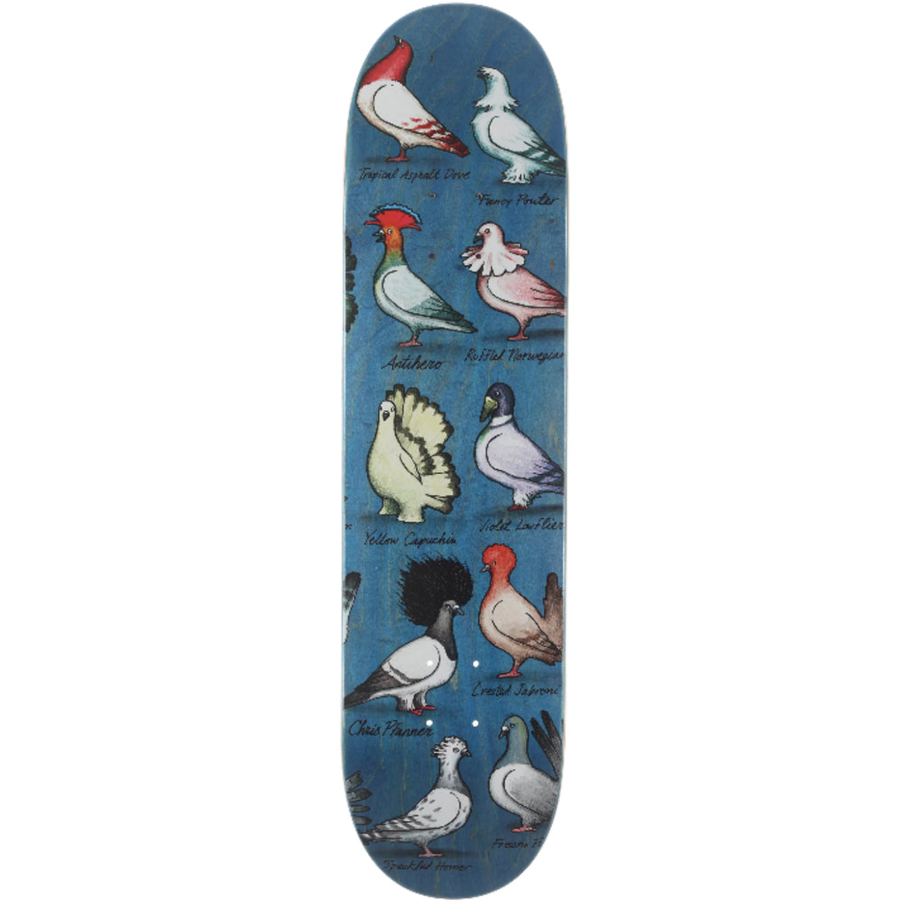 Anti Hero Skateboards Show Pigeons Pfanner Skateboard Deck - 8.06"