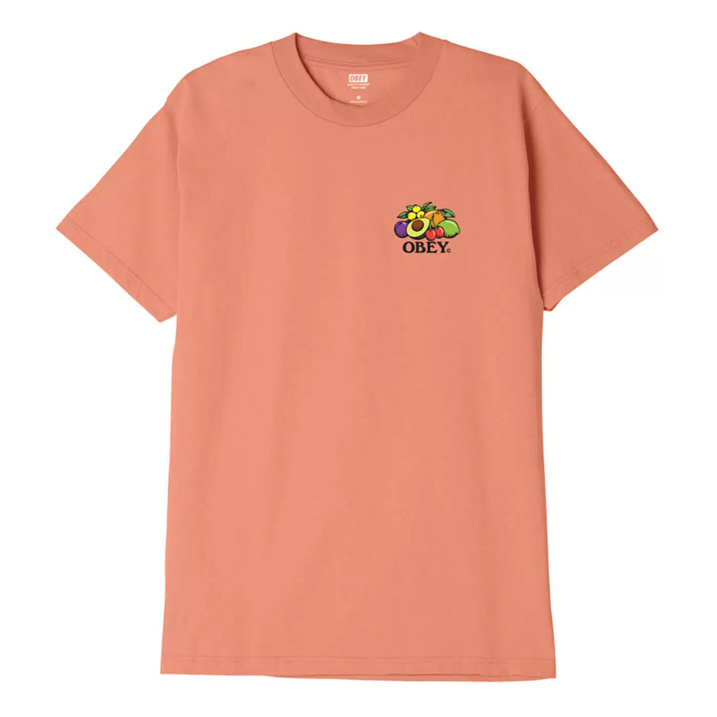 Obey Clothing Bowl of Fruit T Shirt - Citrus - front